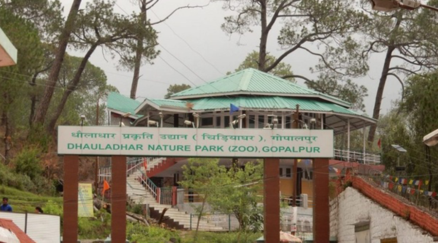 Dhauladhar Wildlife Sanctuary, Himachal Pradesh